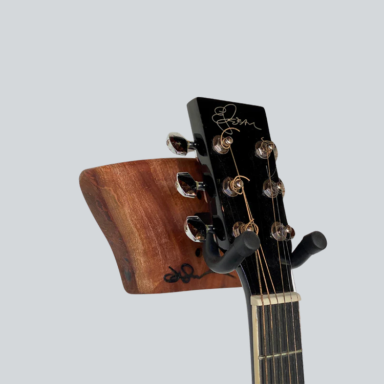 J.Mraz Avocado Guitar Holder