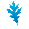 Regal Oaks Dental Charlotte