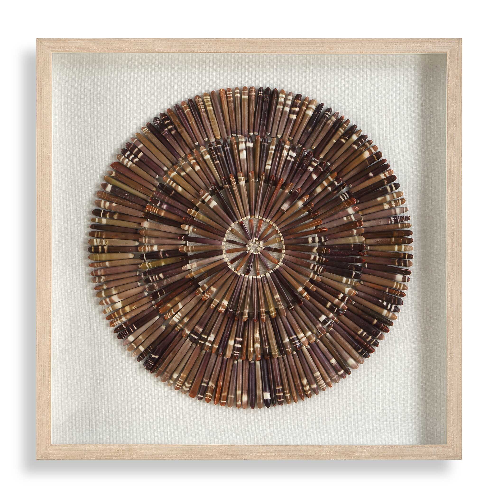 TIGER SEA URCHIN SHADOW BOX