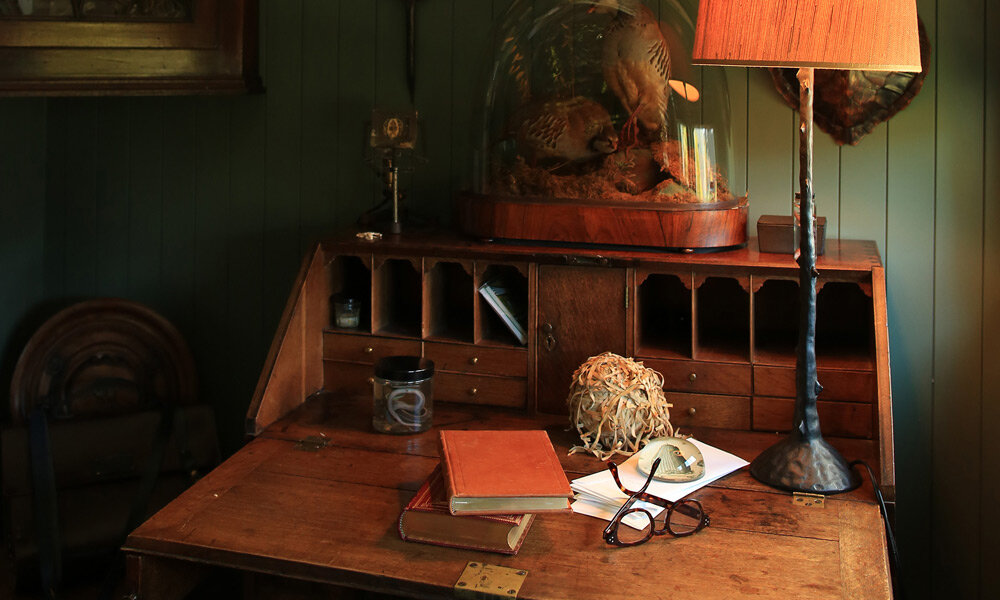 Stephen Moore Home