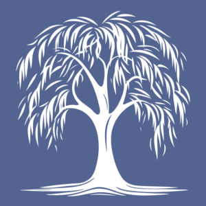 Toschi Dental: Steven M. Toschi, DDS and Jeffery Toschi, DMD